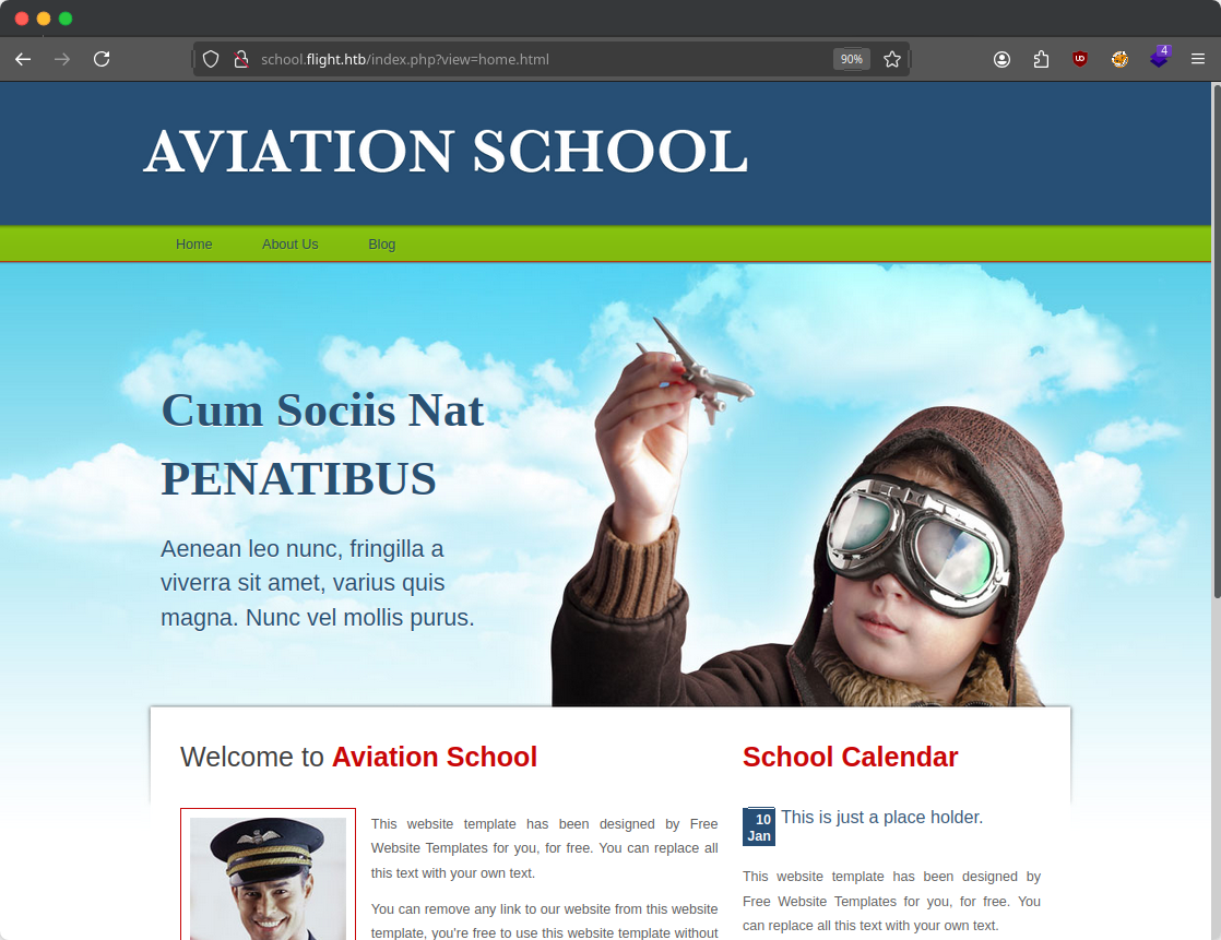 &lsquo;The landing page for a flight school. The URL field contains a query parameter called view that equals home.html.&rsquo;